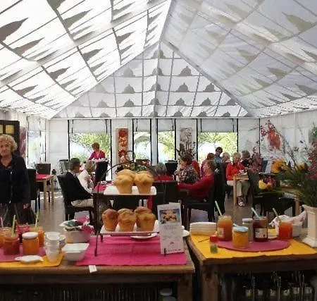 Casa Romeo Mit Kaminofen Und Sonnenterrasse בית נופש Guía de Isora